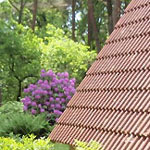 Het vakantiehuis in de zomer met rhodondendrons.
