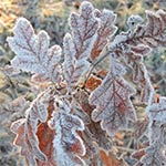 natuurfoto's rondom ons vakatiehuis
