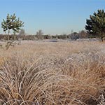 natuurfoto's rondom ons vakatiehuis