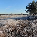 natuurfoto's rondom ons vakatiehuis