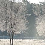 natuurfoto's rondom ons vakatiehuis