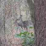 natuurfoto's rondom ons vakatiehuis