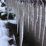 natuurfoto's rondom ons vakatiehuis