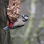 natuurfoto's rondom ons vakatiehuis