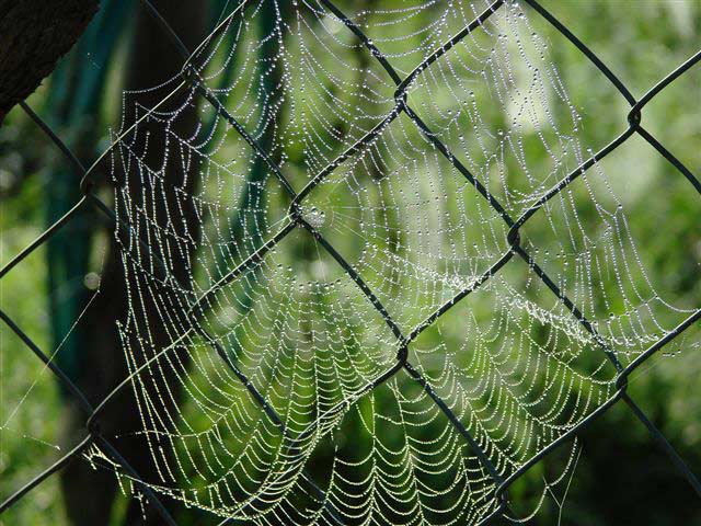 Heerlijk wandelen rond Gorssel an Harfsen.